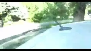 متحول جنسي مدبوغ