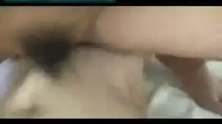 كاميرا حية الهرة الأكل عشاق