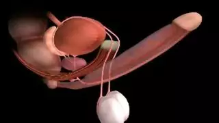 رجال وأخته بالفندق لوحدهم